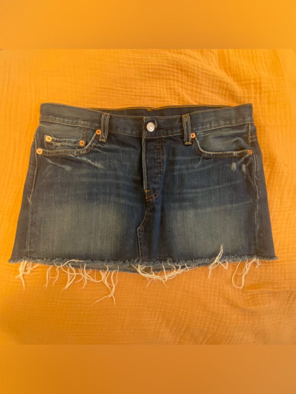 Levi’s Skirt